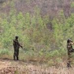 मध्यप्रदेश-ओडिशा: सुरक्षा बलों की दो प्रमुख कार्रवाई, बालाघाट में 4 माओवादी ढेर, ओडिशा में सीआरपीएफ जवान शहीद
