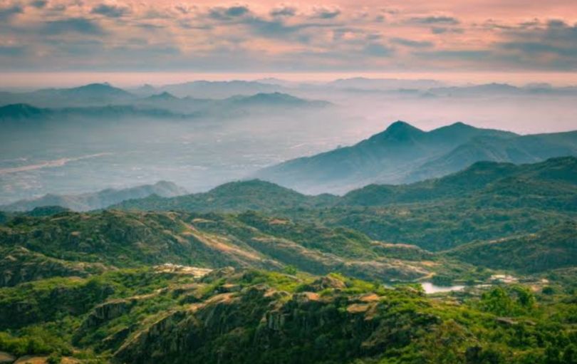 img 20251225 2050572875395257010939582